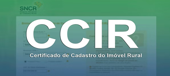 Consultageo_CCIR.png
